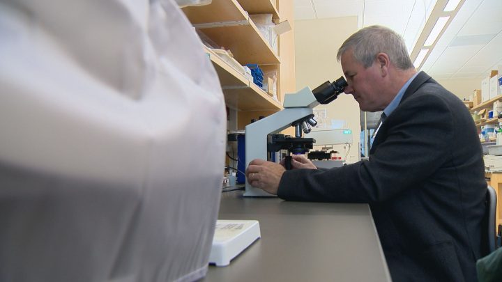 U of S scientists believe they have discovered cure for food allergies - image