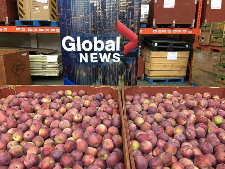 Global BC’s Thanks For Giving campaign raises $65,000 for food banks - image