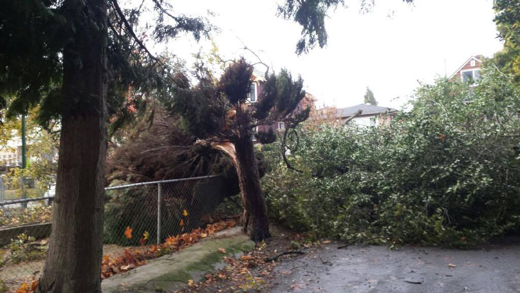 PHOTOS, VIDEO: Heavy Wind And Rain Hit B.C.’s South Coast In Third Of ...