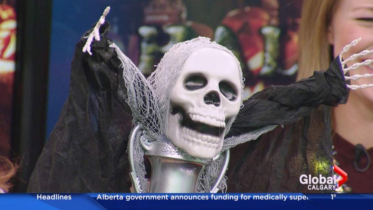 Global Calgary affordable Halloween costume challenge from crafter Lori Gibbs - image