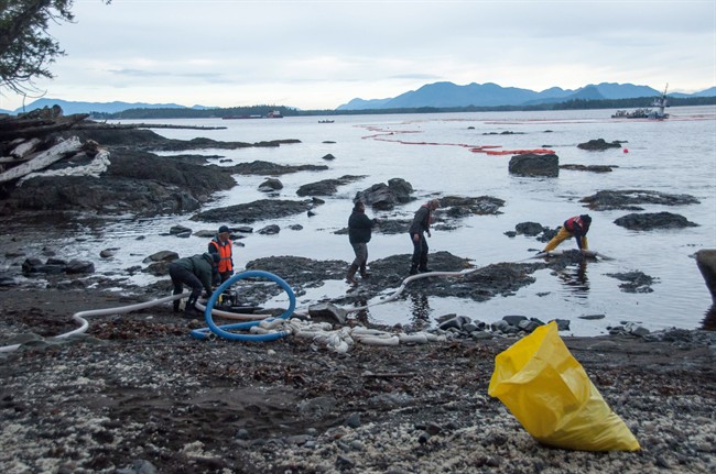 People clean up the shoreline near where the tugboat Nathan E. Stewart ran aground near Bella Bella, B.C., Monday, Oct. 24, 2016. 