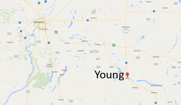 RCMP are investigating a fatal single-vehicle rollover that happened on Saturday near Young, Sask.