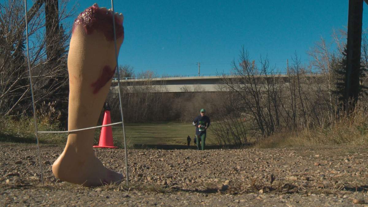 Hundreds of people took part in the 2016 Zombie evasion Run in Edmonton's river valley Saturday.