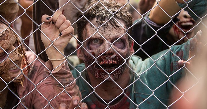 Scientists have worked out how long humans would survive in a zombie  apocalypse, The Independent