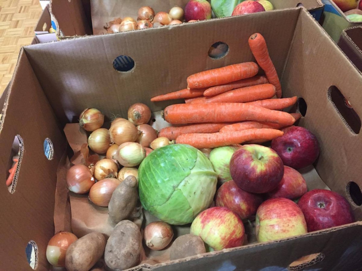 Square Roots will be celebrating their launch on Saturday by offering free bundles of fresh produce at the George Dixon Centre in Halifax.