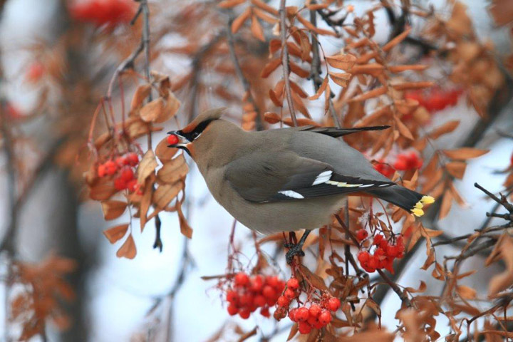 Nov. 22: This Your Saskatchewan photo was taken in Prince Albert by John Eagle.