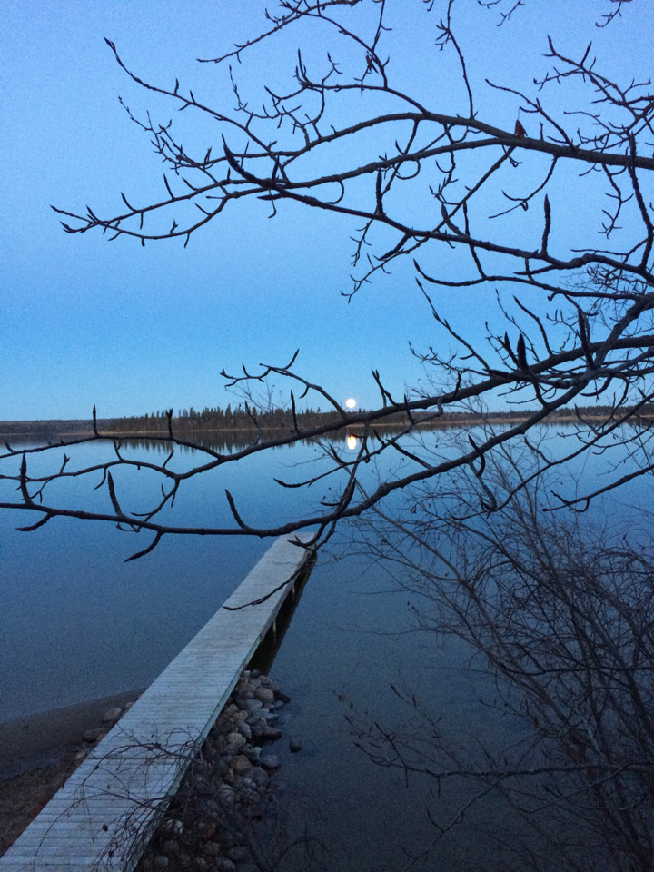 Nov. 24: Renee took this Your Saskatchewan photo at Emma Lake.