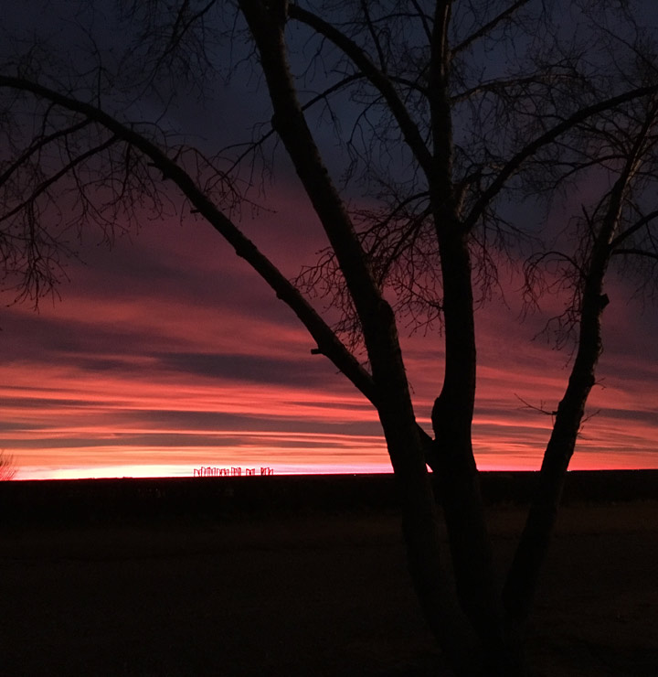 Nov. 30: This Your Saskatchewan photo was taken by Dianne Ahrens in Rosetown.