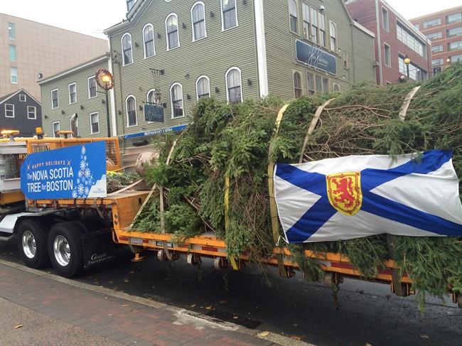Nova Scotia premier headed to Boston for tree lighting - image