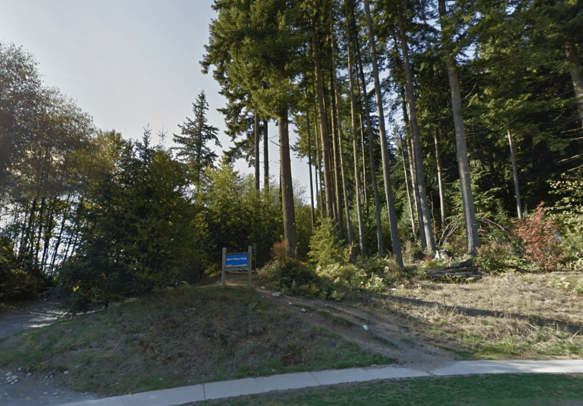 12-year-old girl assaulted in Port Moody park - image