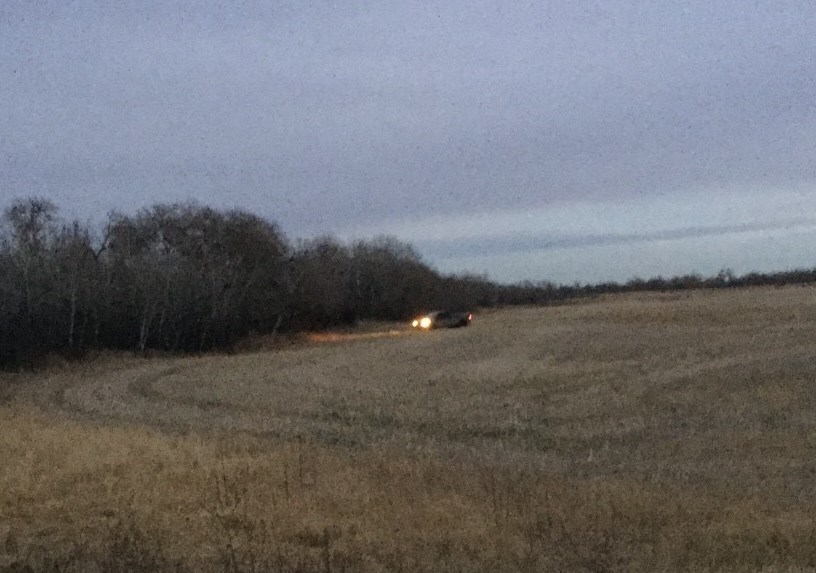 Coronation RCMP are investigating after a truck was spotted trespassing on a canola field near Range Road 130, North of Highway 599. November 11, 2016.