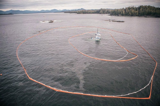 The federal government's $1.5 billion Oceans Protection Plan is of keen interest in B.C., where spill response to disasters like the sinking of the Nathan E Stewart has been widely criticized.