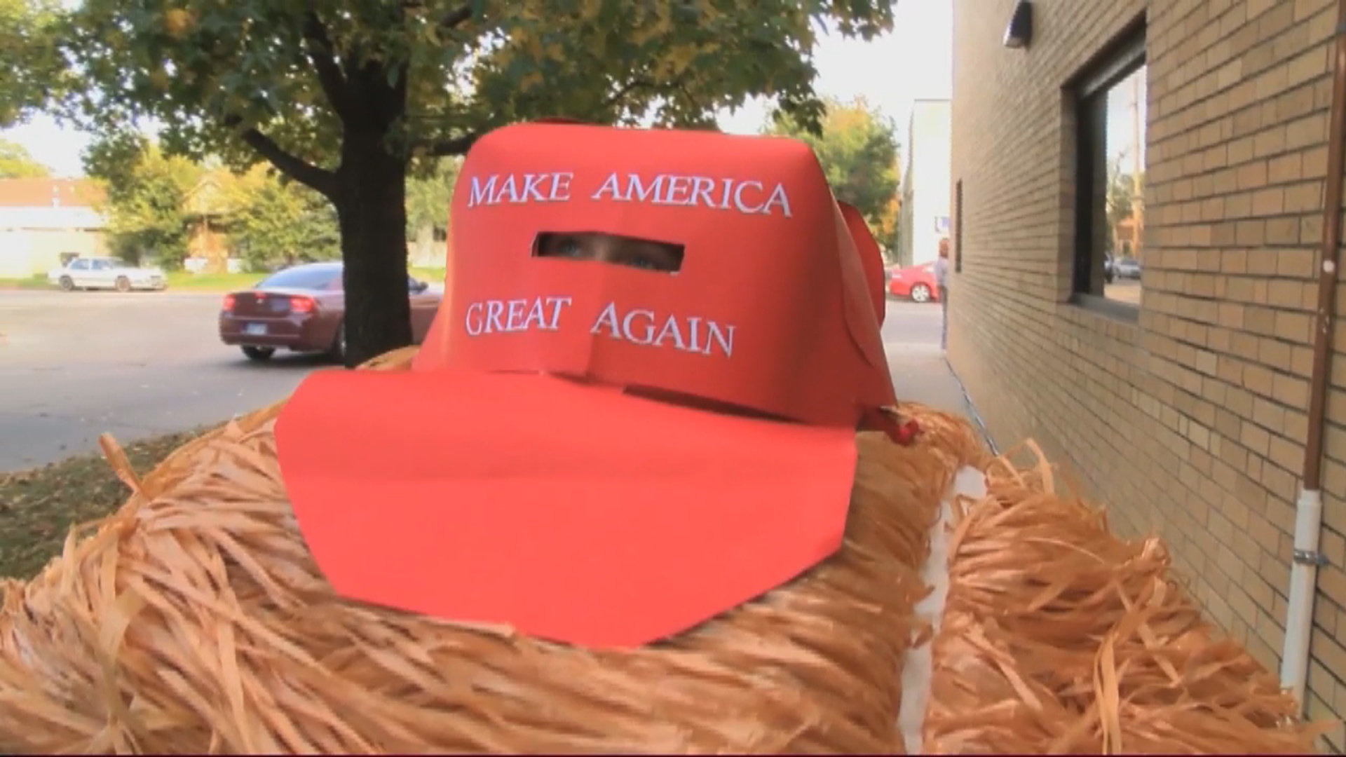 Boy s funny Donald Trump hair costume a huge Halloween treat