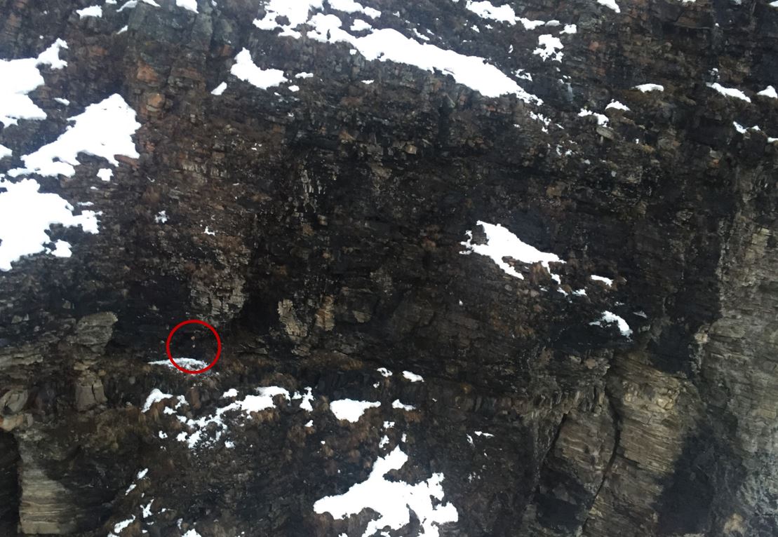 The north face of Fairview Mountain where a stranded hiker spent Wednesday night. (Parks Canada).