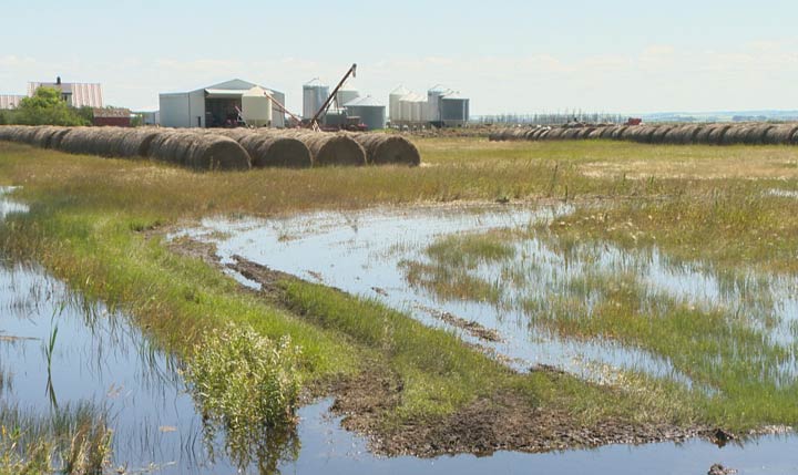 Amendments to The Water Security Agency Act have been introduced to change how agricultural drainage complaints are handled in Saskatchewan.