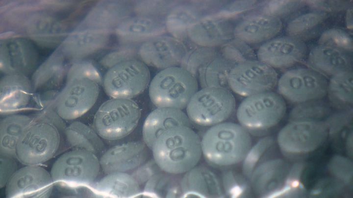 The Saskatoon Board of Police Commissioners is set to receive a report during its next meeting that looks at how removing penalties for drug possession could affect addiction.