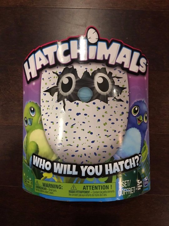 hatchimal water