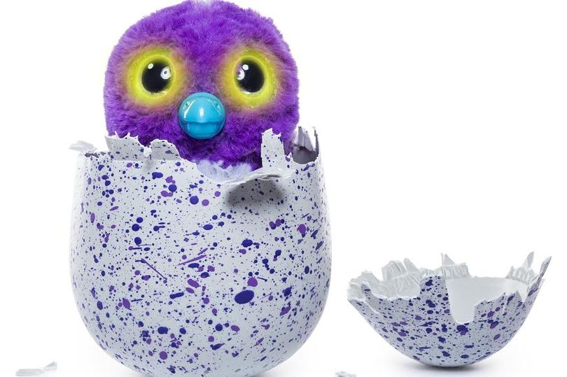 A Hatchimal toy belonging to the 'Burtles' species is shown in this promotional photo.