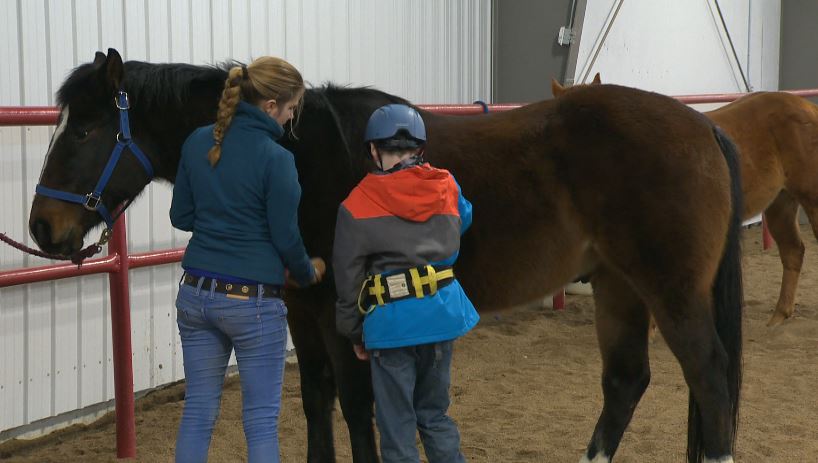 Lethbridge Therapeutic Riding Association needs more horses.