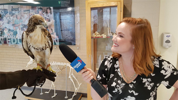 Carly Robinson meets Jadis the hawk.