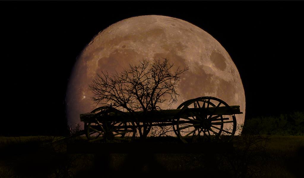 Nov. 14: Taken by Jerry Stevens at Last Mountain Lake, Sk. It is a great shot of last night's Super Moon, almost E.T. like!