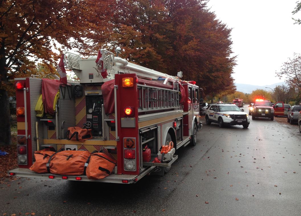 Kelowna chimney fire prompts warning from fire department - image