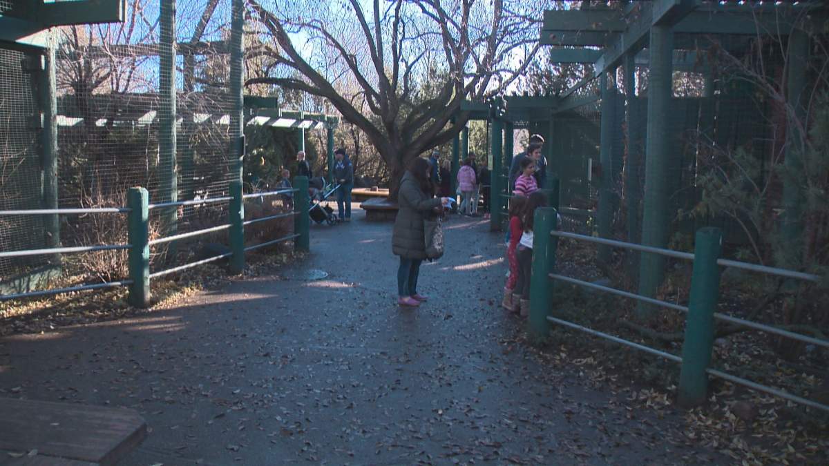 Guests at the Edmonton Valley Zoo Sunday were invited to participate in World Kindness Day. 