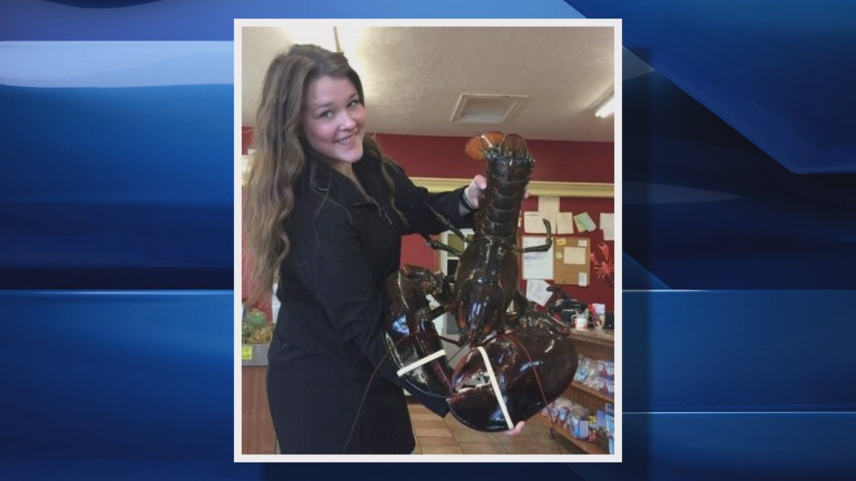 Elizabeth MacDonald, an employee of the Alma Lobster Shop, holds up a huge lobster in Alma, N.B. on Saturday, Nov.26, 2016.