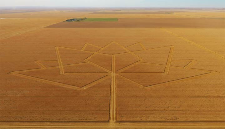 Youtube video showcases modern technology being used to combine the Canada 150 logo into a Saskatchewan wheat field.