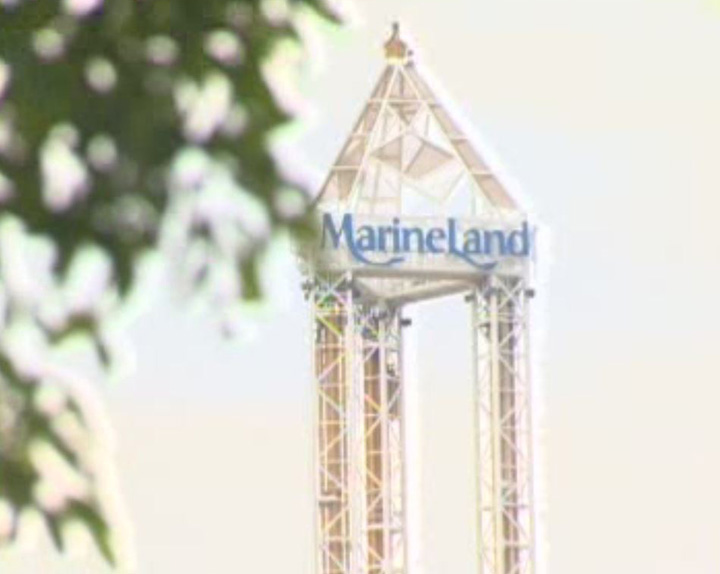 Marineland denied allegations of animal cruelty and said the complaint stemmed from a disgruntled former employee.