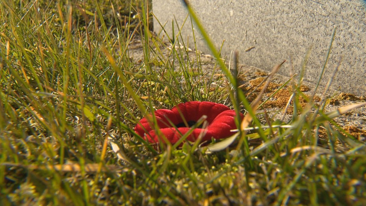 A number of events are taking place in Saskatoon on Remembrance Day to honour and remember those who served and made the ultimate sacrifice for their country.