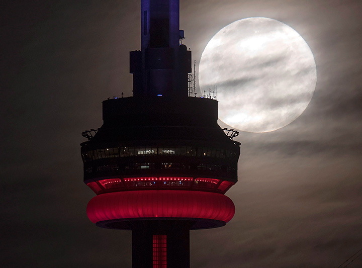 The super perigee full moon sets behind the CN tower in Toronto on Monday November 14, 2016.
