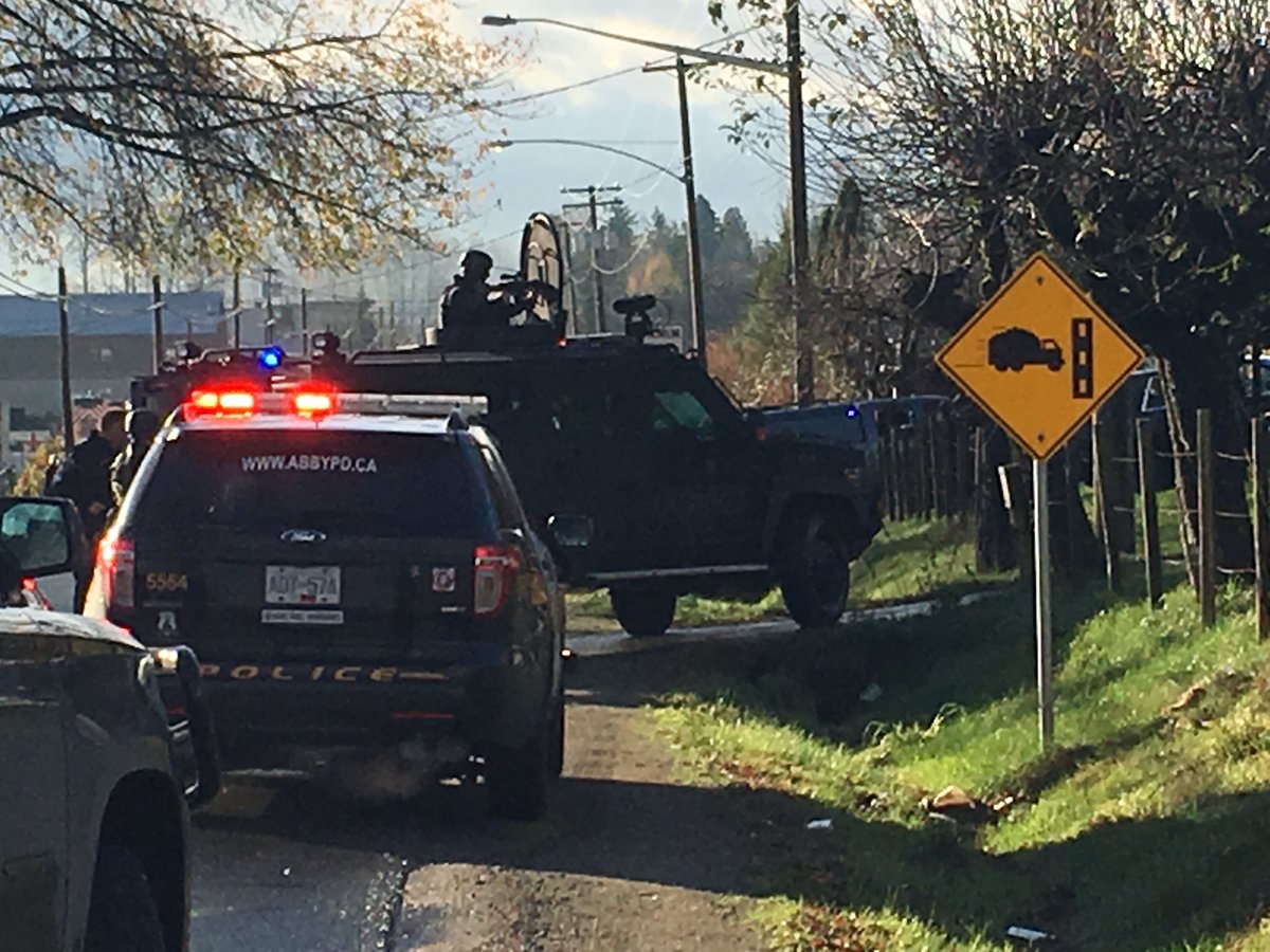 2 people in custody after car crash, police standoff in Abbotsford - image