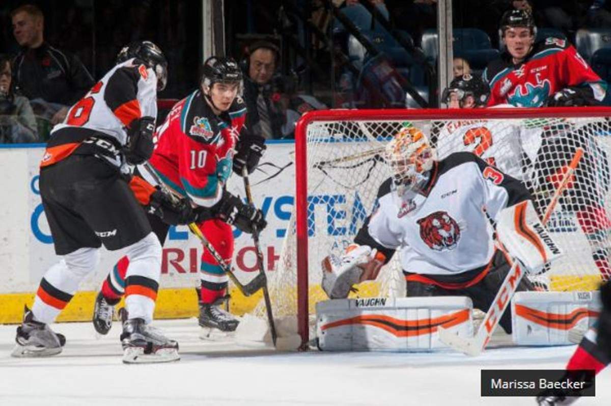 Kelowna Rockets fall to Medicine Hat Tigers - image