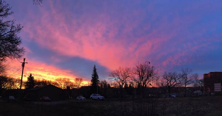 Nov. 5: This Your Saskatchewan photo was taken by Sherry Myers in Saskatoon.