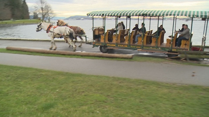 stanley park carriage