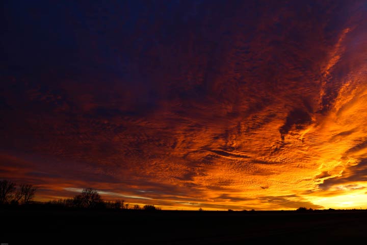Nov. 13: This Your Saskatchewan photo was taken by Bill Allen in Ralph.