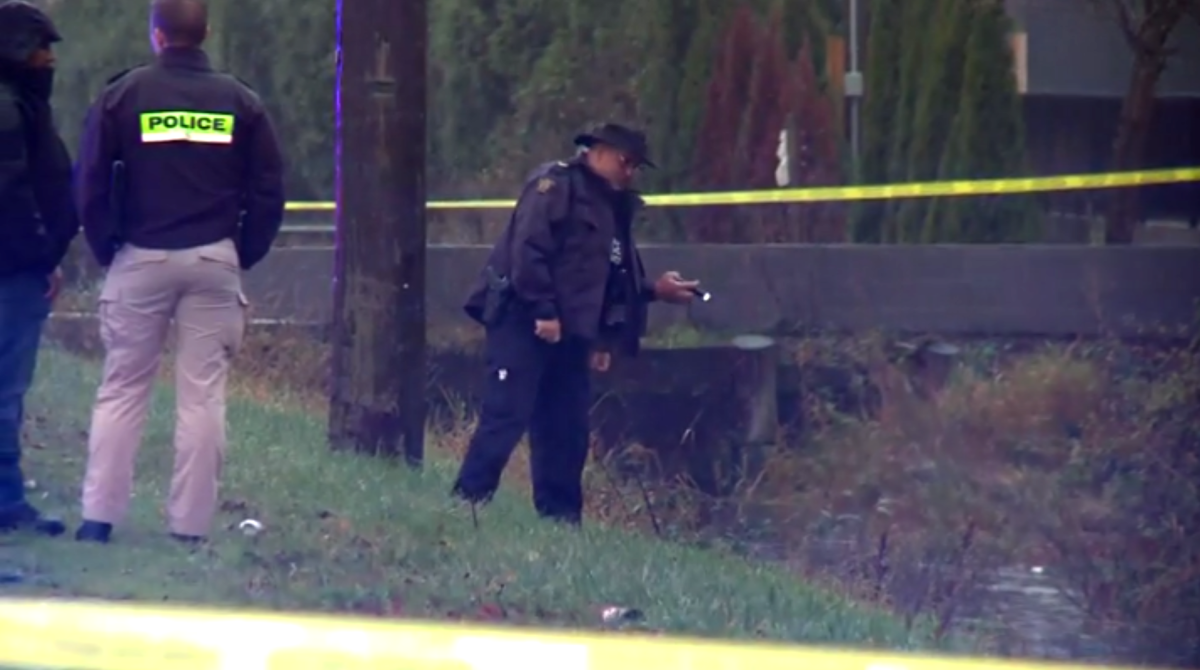 Body found in ditch in South Surrey prompts investigation - image