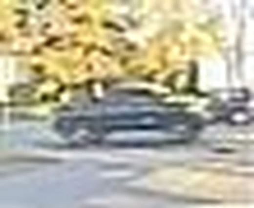 Toronto police have released surveillance camera images of a truck involved in an alleged hit-and-run.