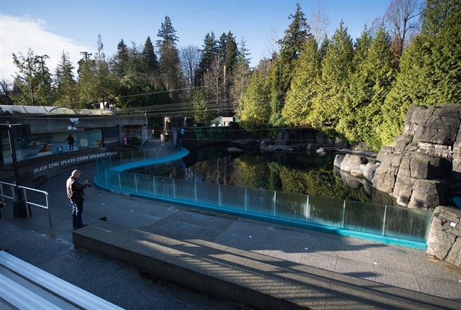 Protesters staged a demonstration outside of the Vancouver Aquarium on Saturday under the banner "empty the tanks.".
