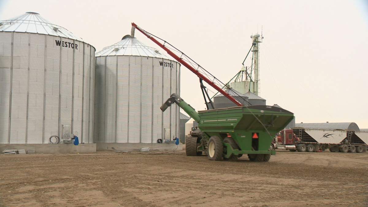 Farmers embracing warm November temperatures in final push to get harvest in the bin.