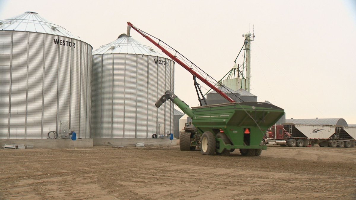 Farmers embracing warm November temperatures in final push to get harvest in the bin.
