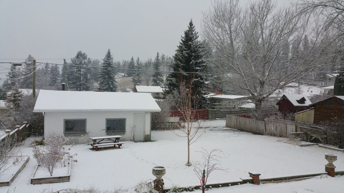 Snowfall warning in effect for parts of B.C. - image