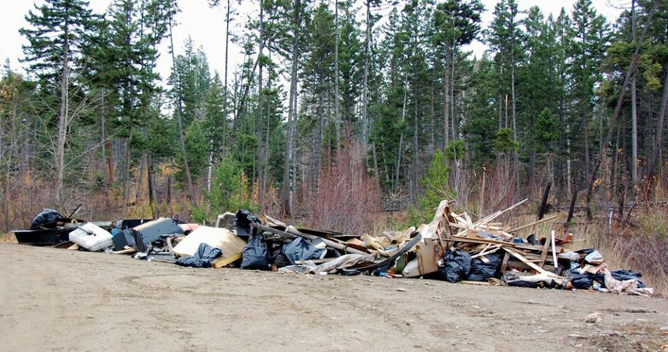Illegal dumping task force producing results - image