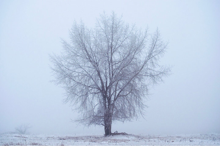Dec. 15: This Your Saskatchewan photo was taken at Belle Plaine by Scott Aspinall.