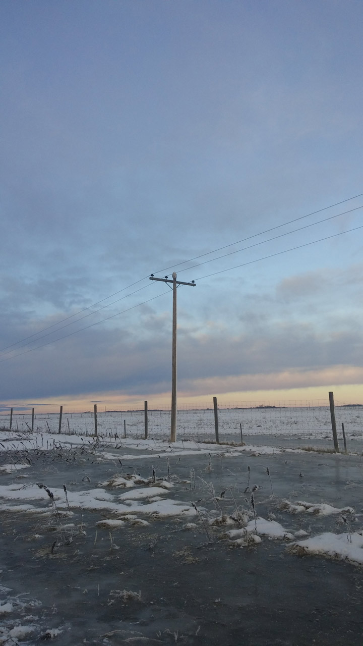 Dec. 20: Can you spot the snow owl in this Your Saskatchewan photo taken by Jenine Boser near Unity?
