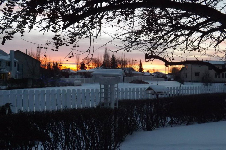 Dec. 22: This Your Saskatchewan photo was taken by Leslie Anderson in Prince Albert.