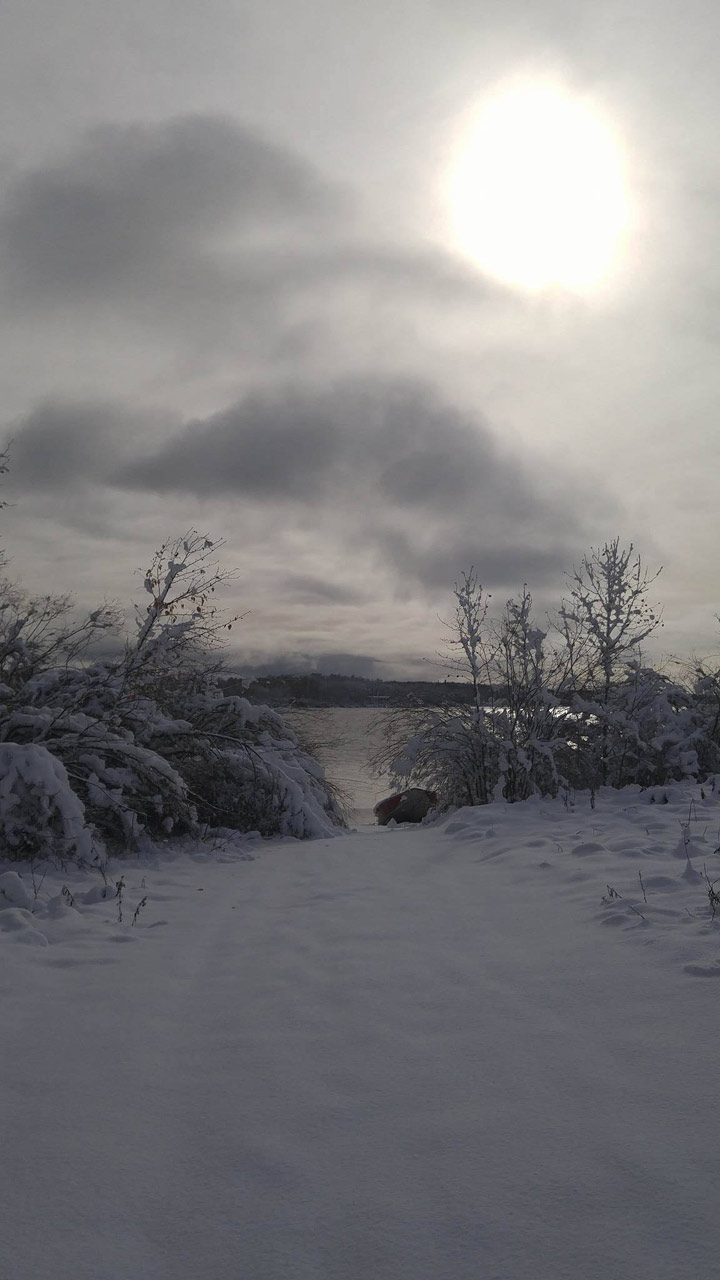 Dec. 26: This Your Saskatchewan photo was taken by Carol Couillonneur at Île-à-la-Crosse.