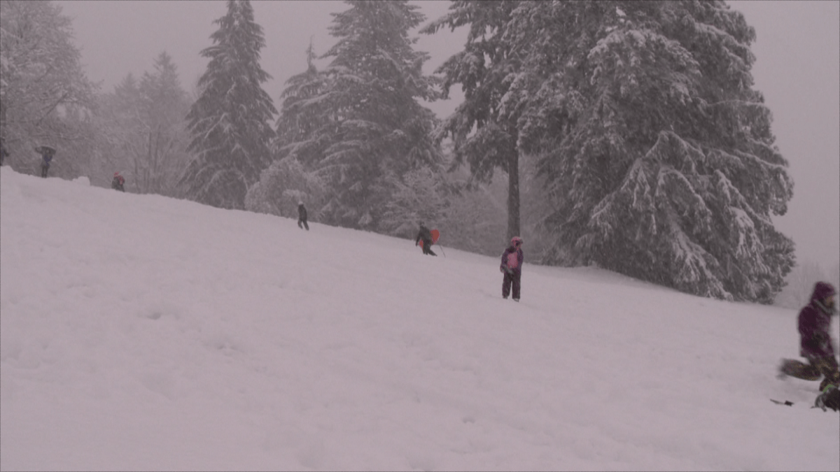 Snow in Vancouver