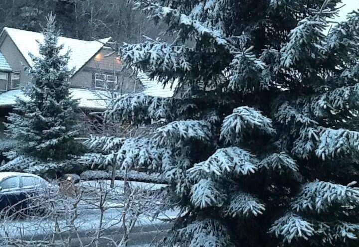 Abbotsford snow in an undated file photo.